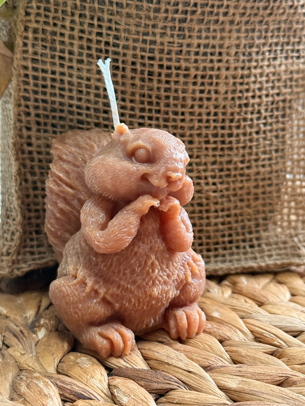 🐿️ Bougie balade en forêt 🐿️