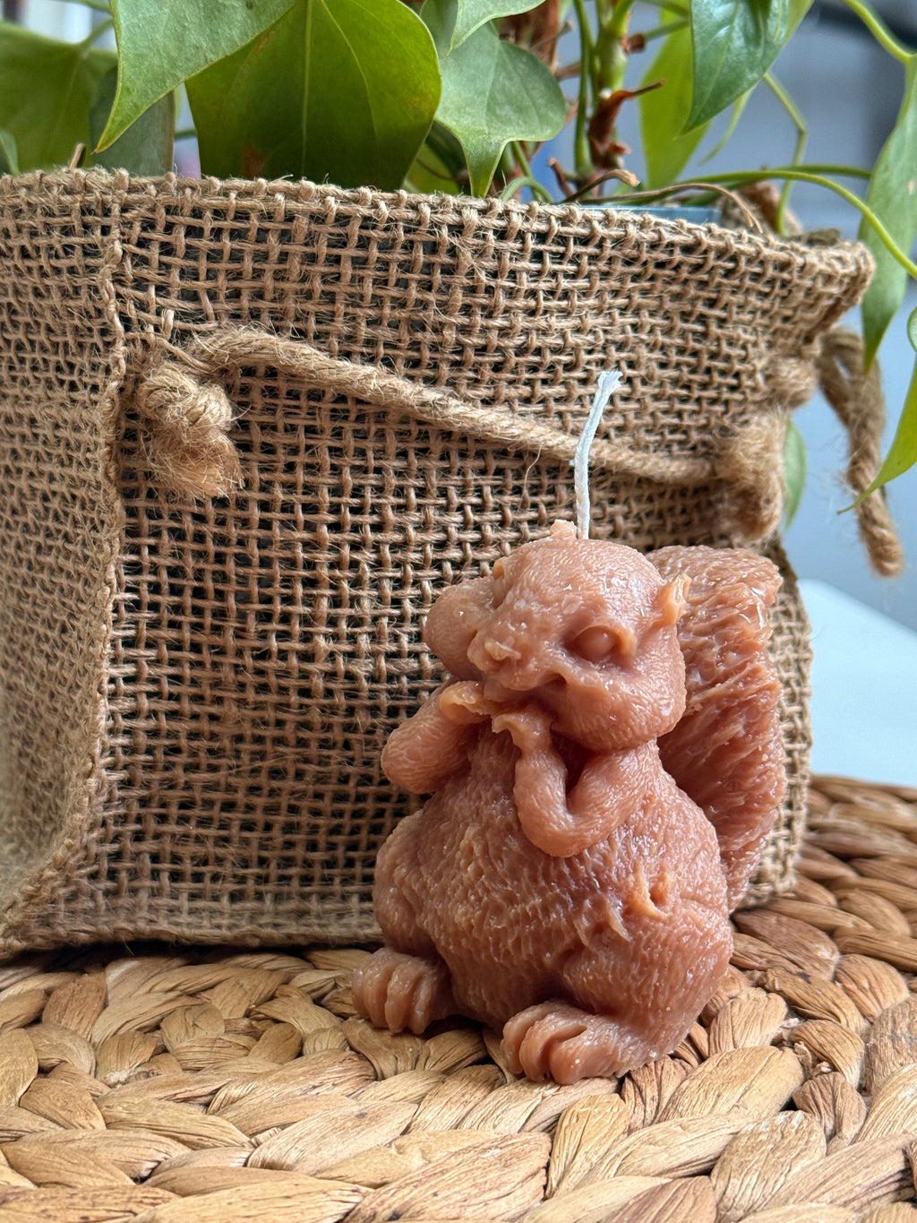 🐿️ Bougie balade en forêt 🐿️