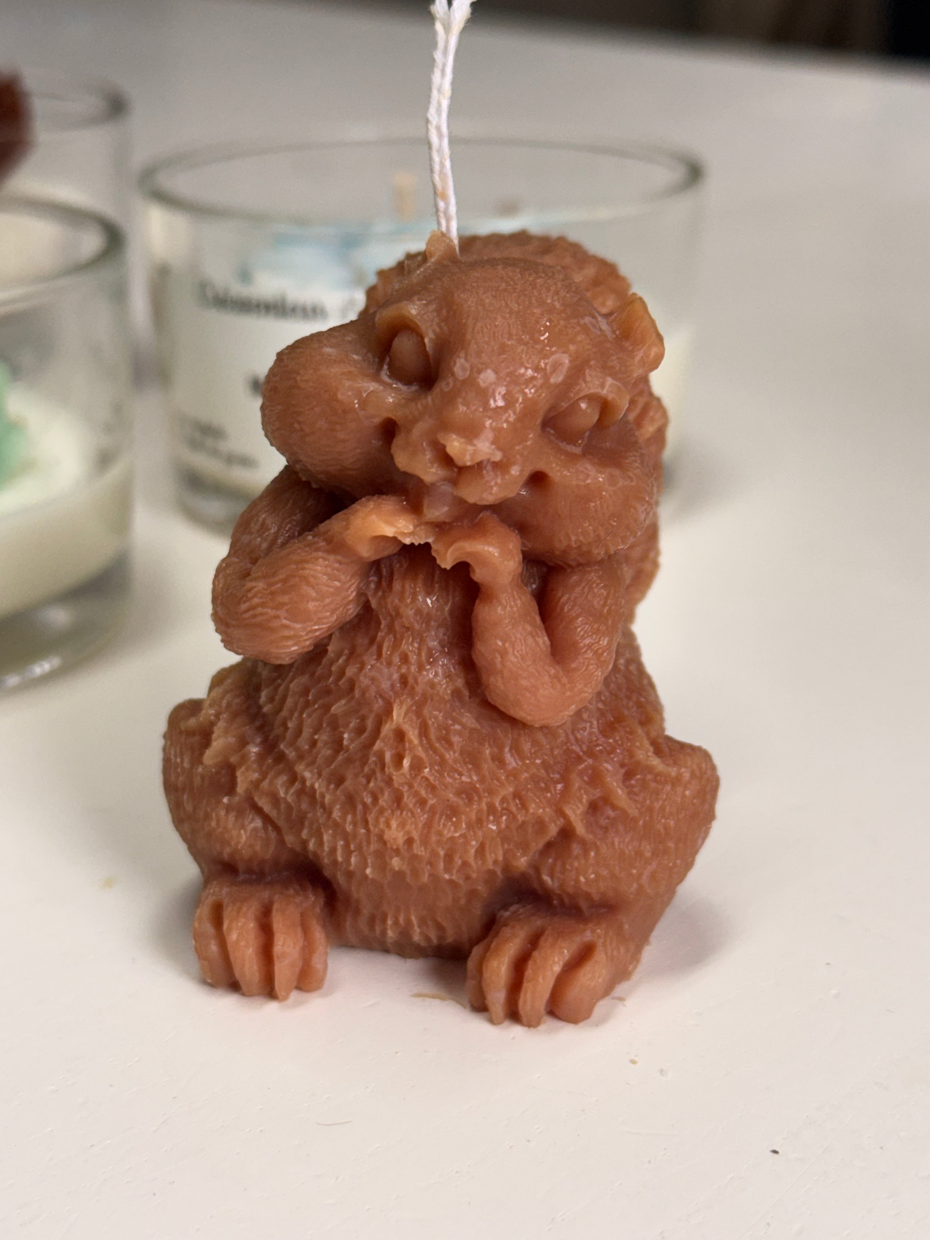 🐿️ Bougie balade en forêt 🐿️