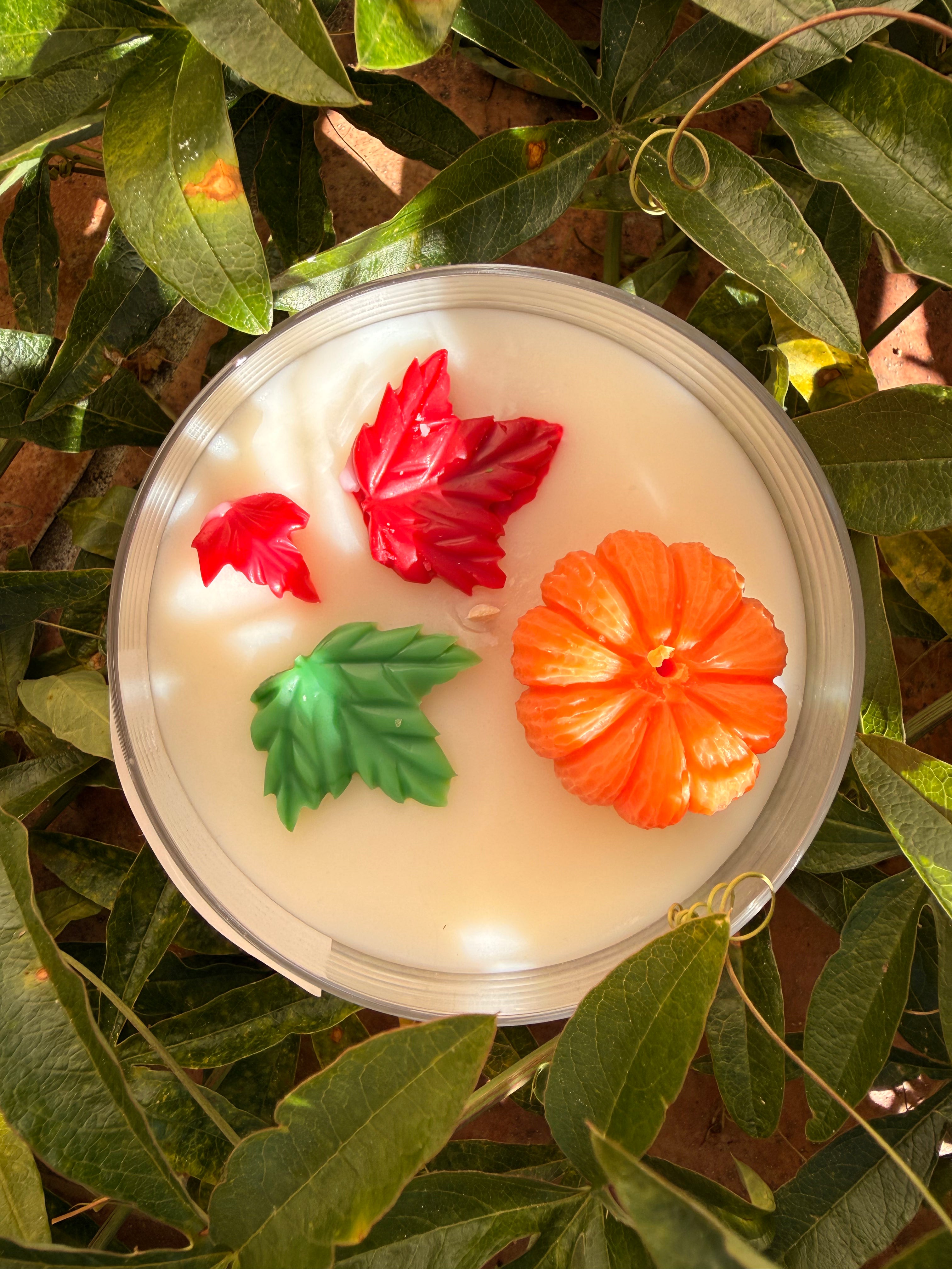 🎃 Citrouille merveilleuse 🎃