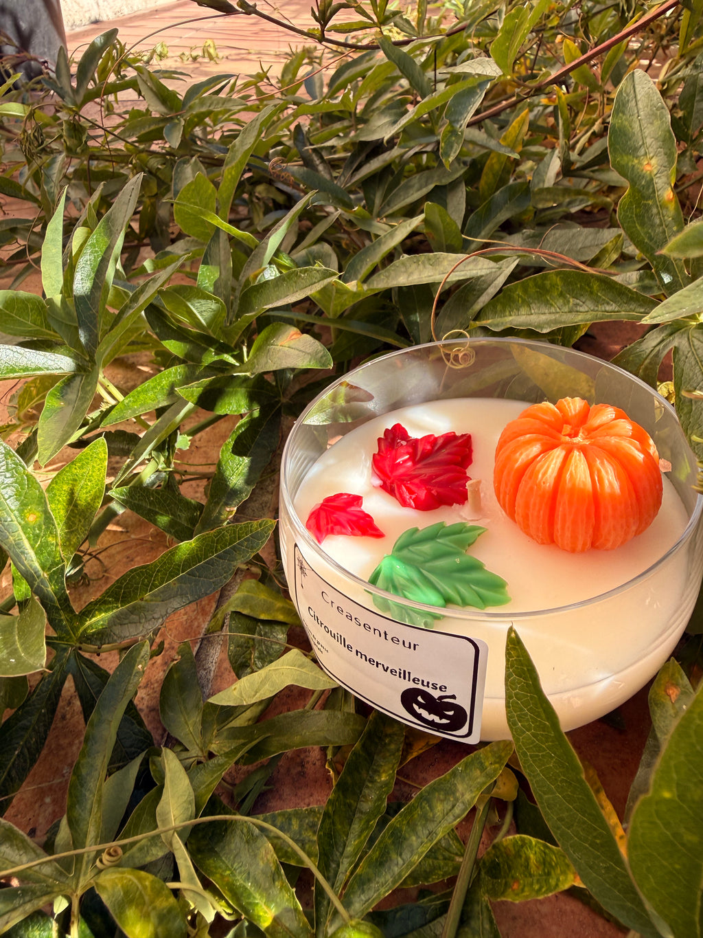 🎃 Citrouille merveilleuse 🎃