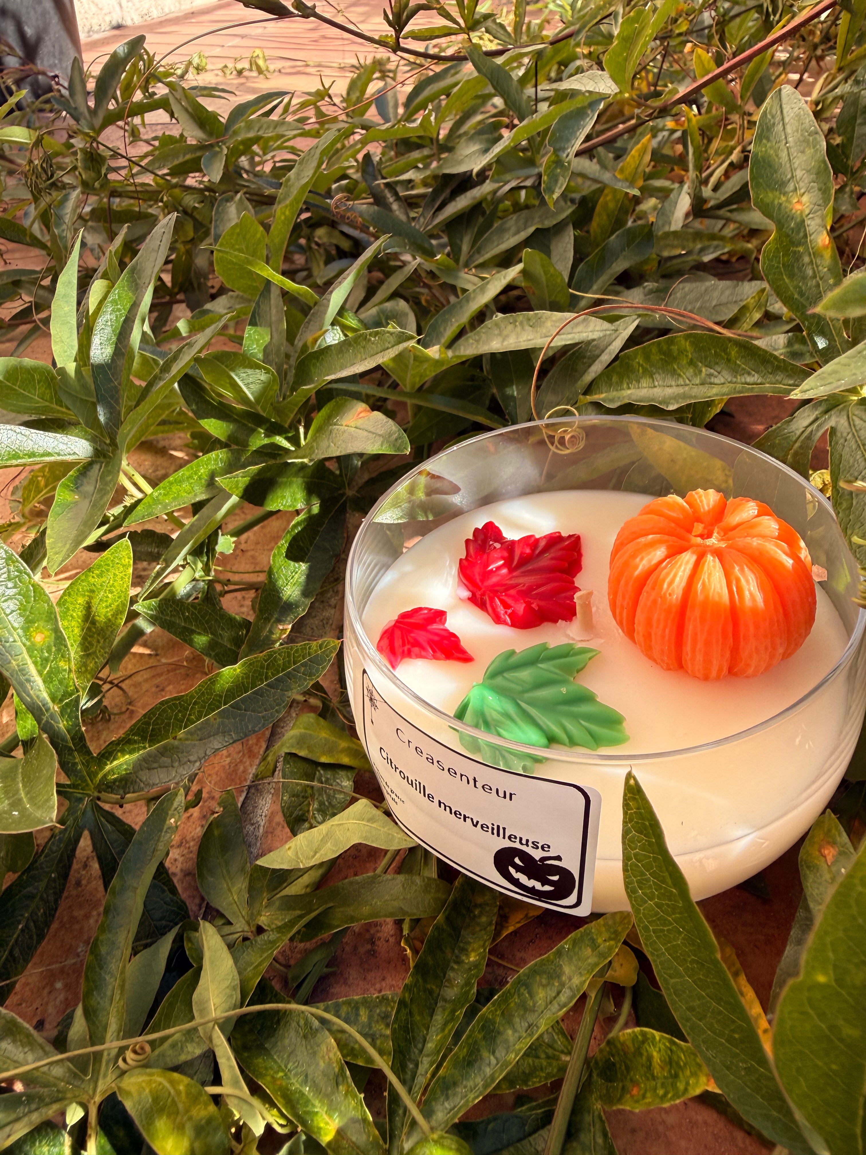 🎃 Citrouille merveilleuse 🎃