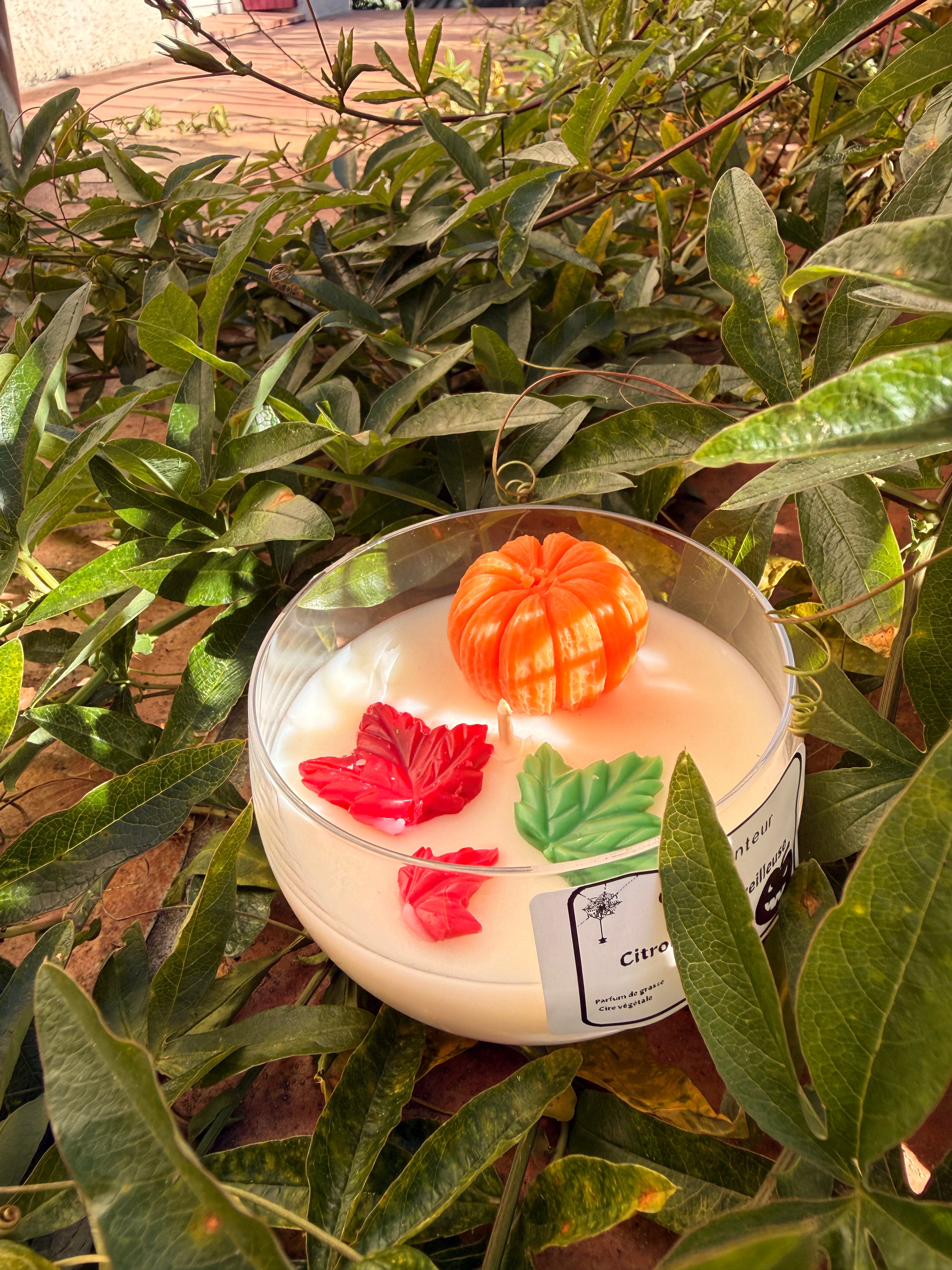 🎃 Citrouille merveilleuse 🎃